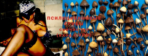 mdpv Киреевск