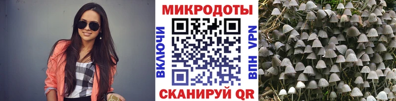 Псилоцибиновые грибы Psilocybine cubensis  Купить  Рассказово 