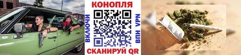 Купить где  Рассказово  Бошки Шишки сатива 